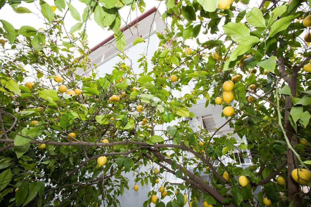 Апартаменти Limon Agacli Ev - Урла